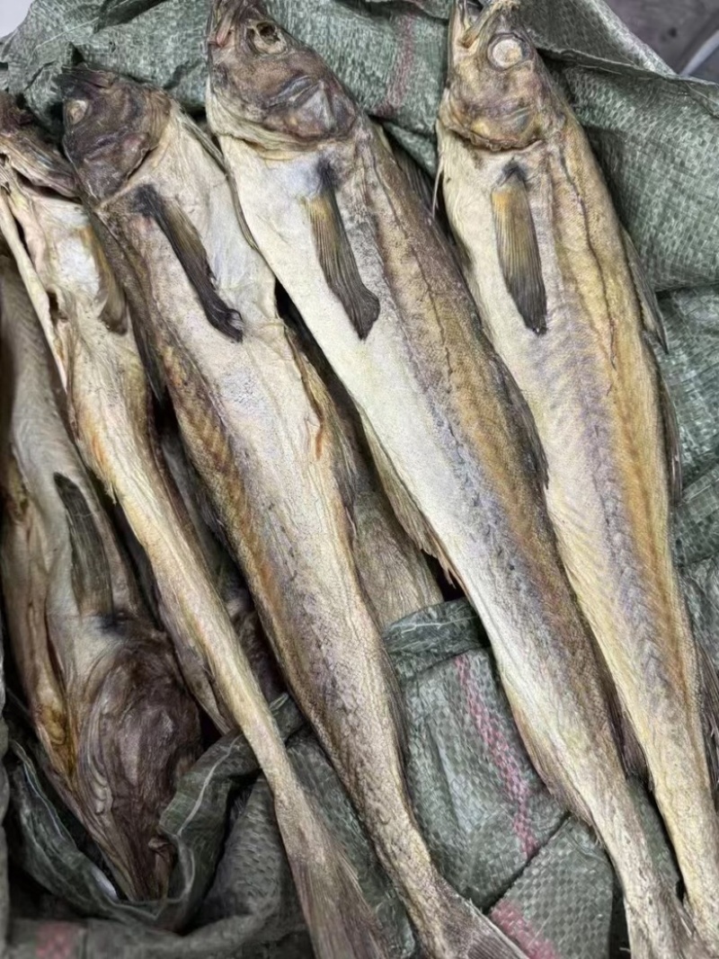 柴鱼干财鱼干煲汤煲粥好配料有量批发零售