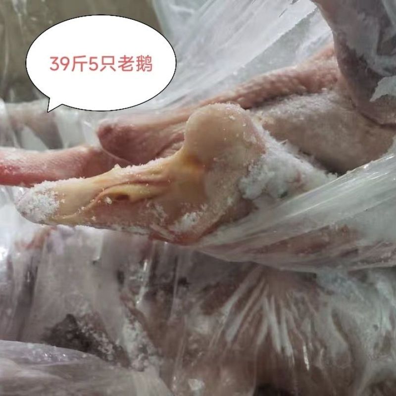 老鹅正宗老鹅带包老鹅整箱39斤