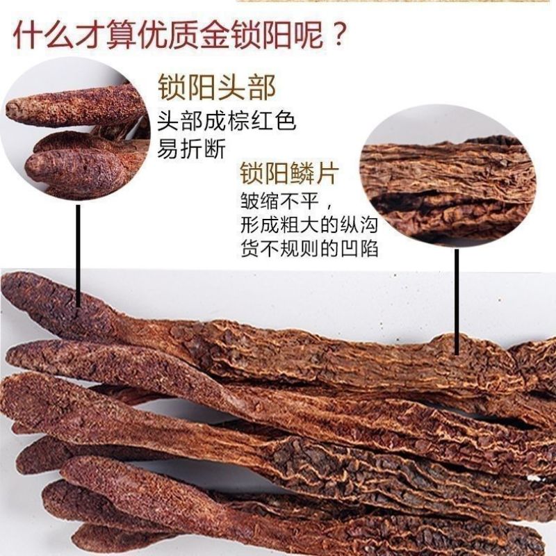 【金锁阳】阿拉善野生金锁阳整个正品锁阳泡茶泡酒料沙漠锁阳