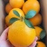 麻阳冰糖橙