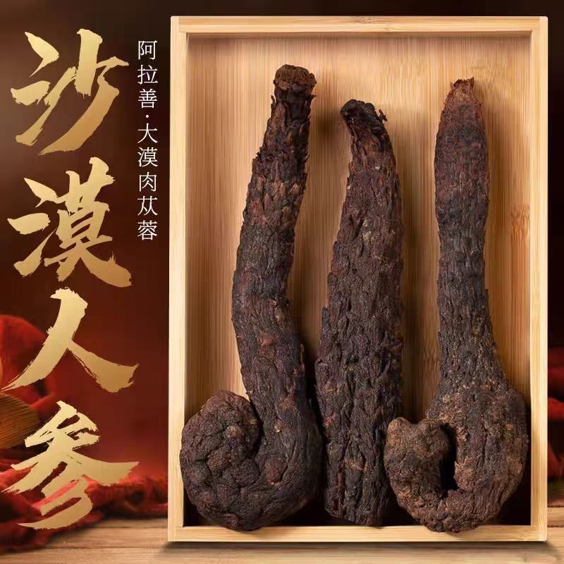 肉苁蓉整根阿拉善泡酒料滋补品内蒙古正品油苁蓉软大芸非锁阳