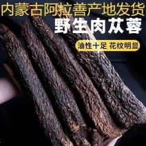 肉苁蓉整根阿拉善泡酒料滋补品内蒙古正品油苁蓉软大芸非锁阳