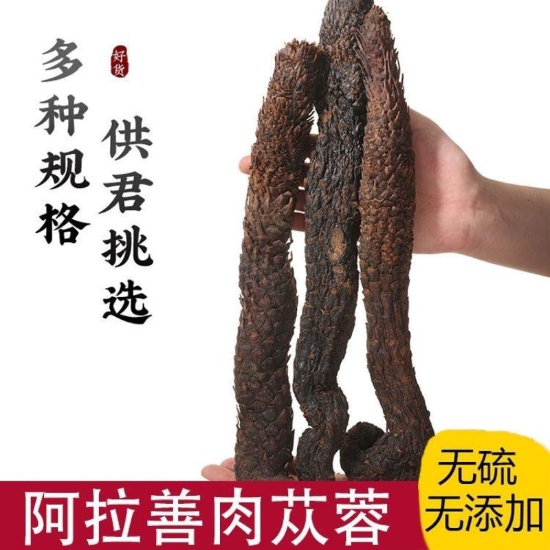 肉苁蓉整根阿拉善泡酒料滋补品内蒙古正品油苁蓉软大芸非锁阳