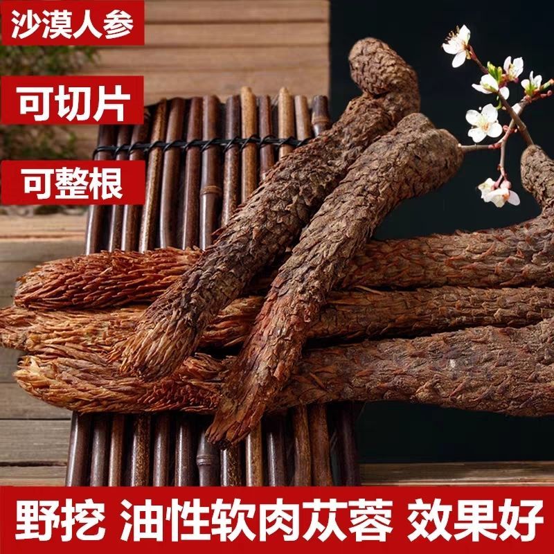 肉苁蓉整根阿拉善泡酒料滋补品内蒙古正品油苁蓉软大芸非锁阳