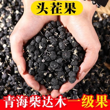 新货青海黑枸杞子无野生特级干吃苟杞茶非大粒宁夏红枸杞泡水