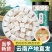 【天然】正品云南茯苓中药材正品野生茯苓干伏苓正品白茯苓粉