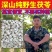 【天然】正品云南茯苓中药材正品野生茯苓干伏苓正品白茯苓粉