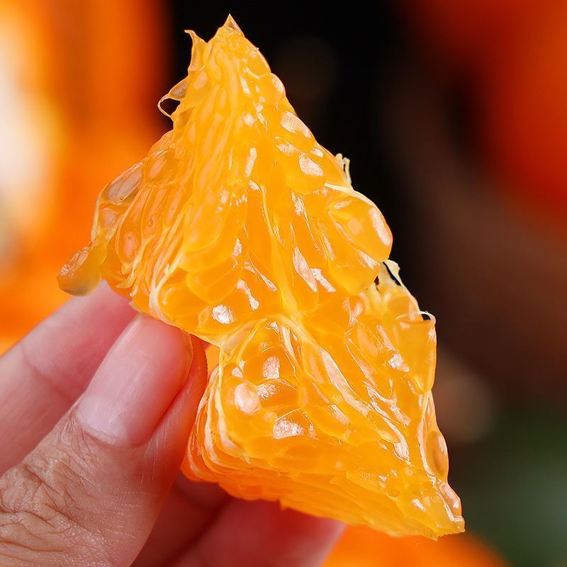 正宗耙耙柑四川春见耙耙柑新鲜应季水果现摘薄皮丑橘桔子整箱批发
