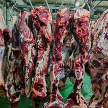 国产鲜牛肉，纯干货。