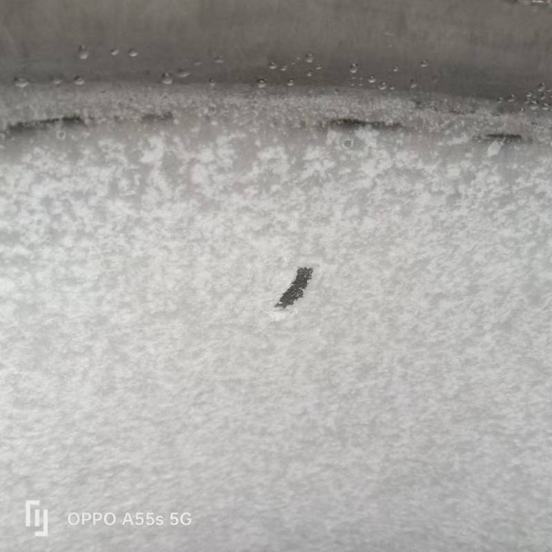 艾纳香粉