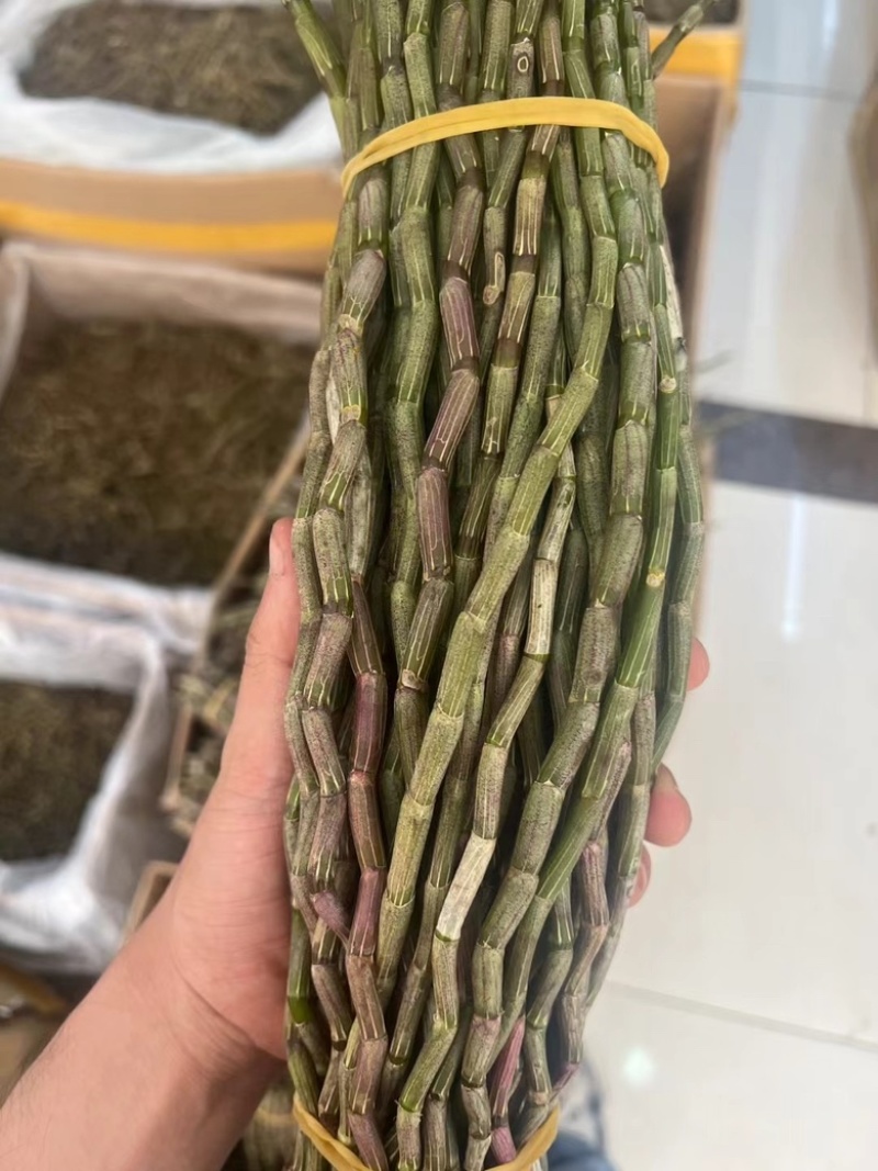 铁皮石斛短条，现货批发价格优惠，欢迎需要的老板来此采购