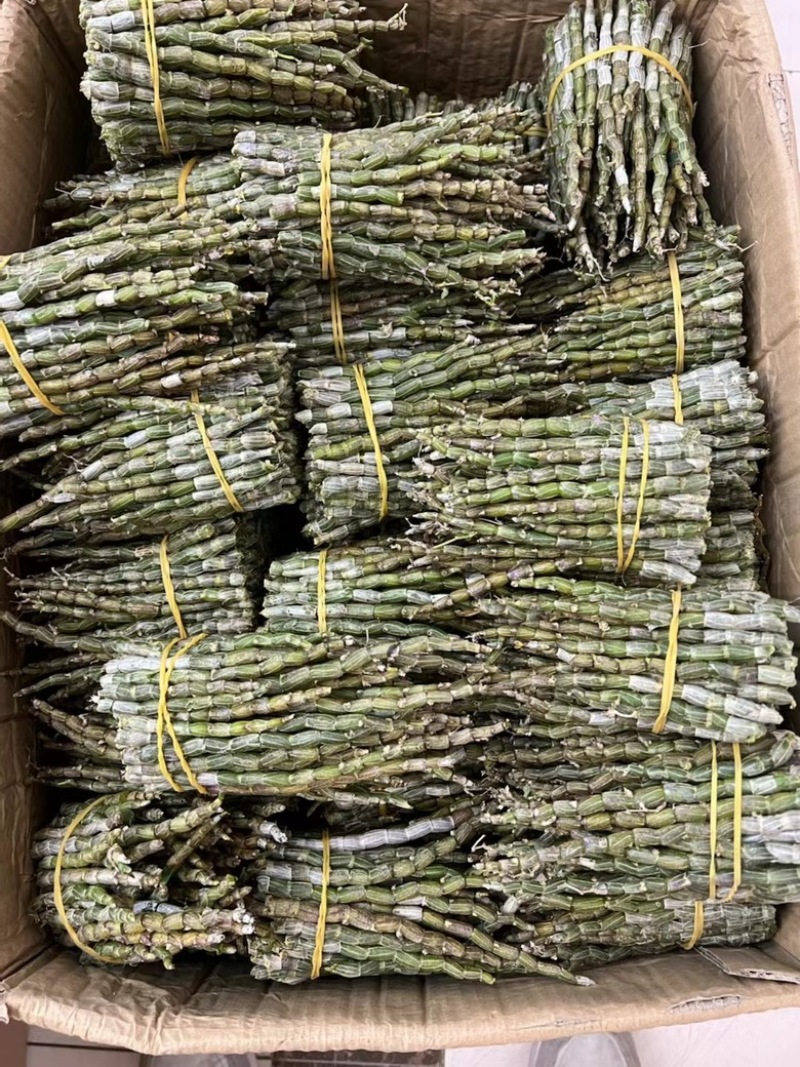 铁皮石斛短条，现货批发价格优惠，欢迎需要的老板来此采购