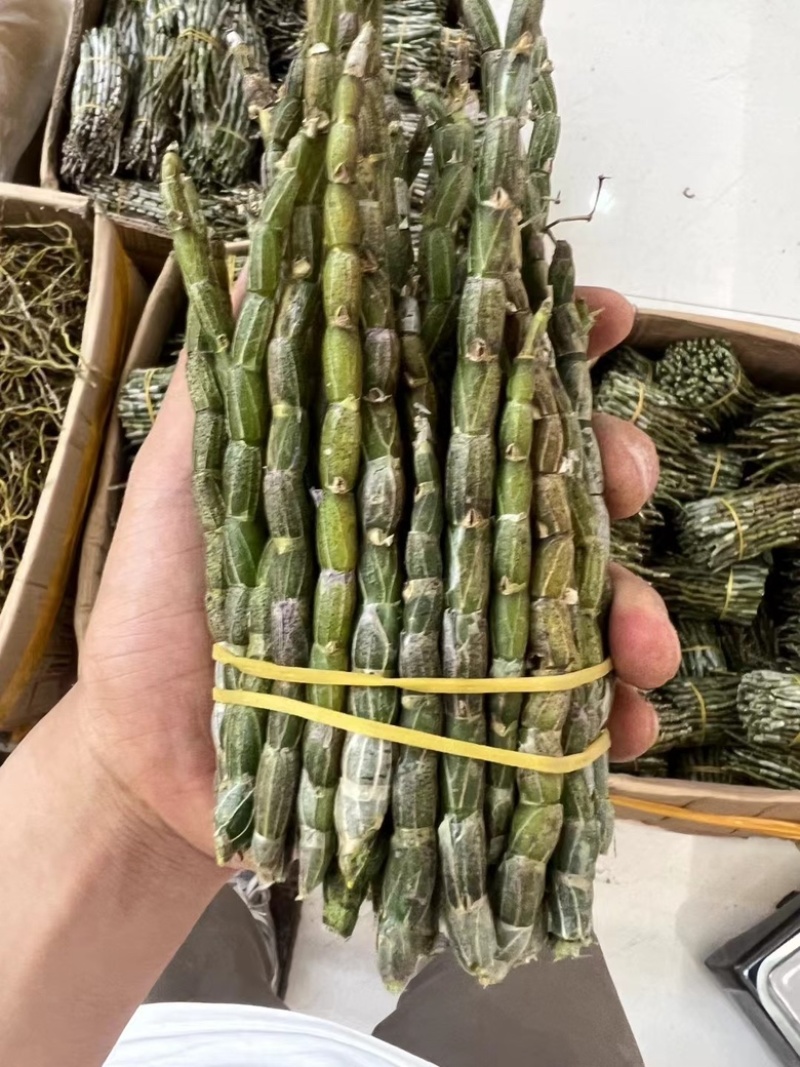铁皮石斛短条，现货批发价格优惠，欢迎需要的老板来此采购