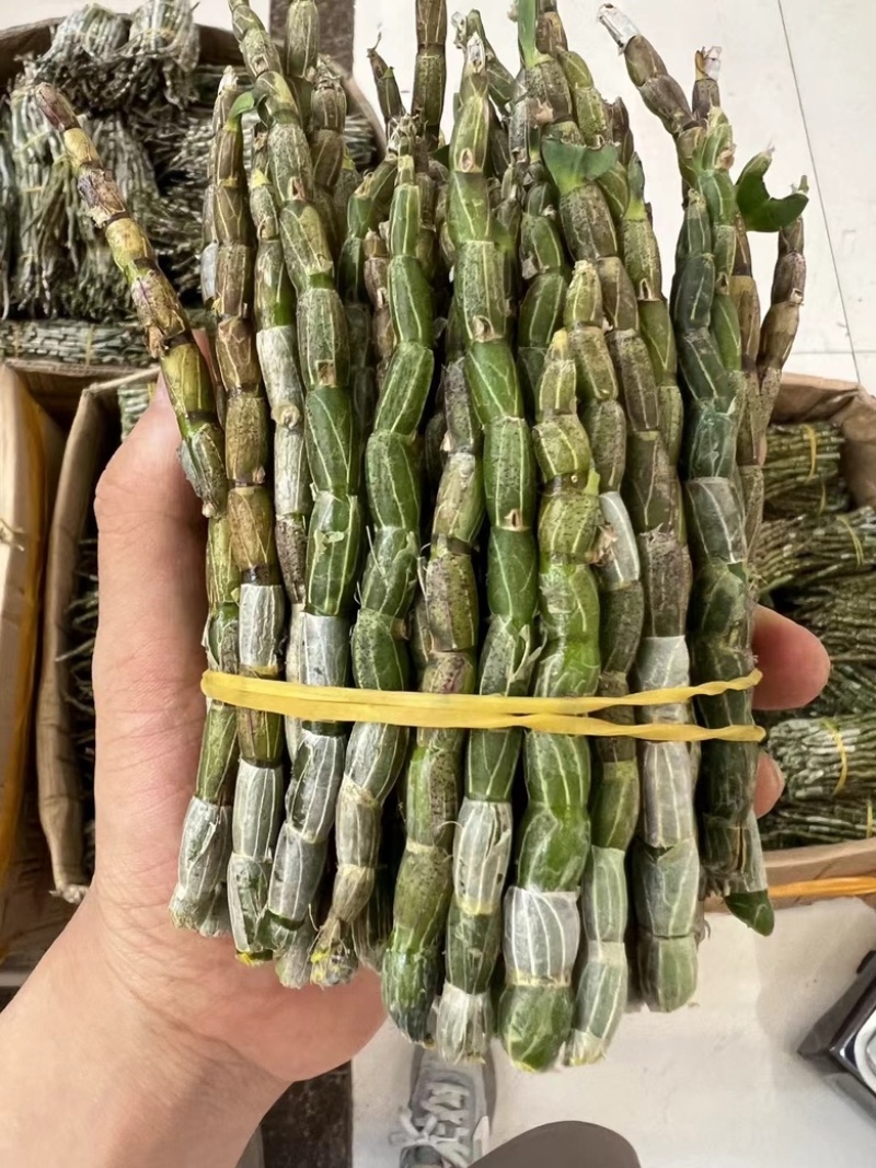 铁皮石斛短条，现货批发价格优惠，欢迎需要的老板来此采购