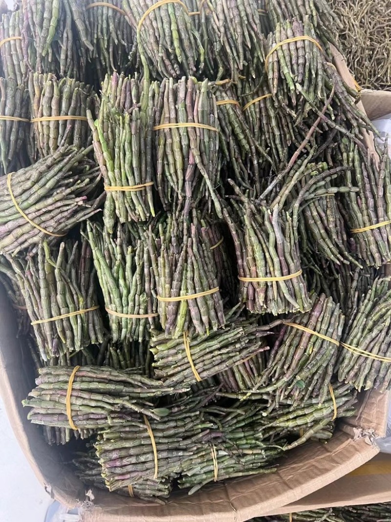 铁皮石斛短条，现货批发价格优惠，欢迎需要的老板来此采购