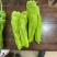 芜湖椒广东辣椒，一手货源，基地直发，价格优惠