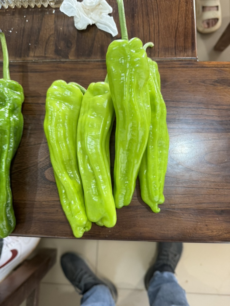 芜湖椒广东辣椒，一手货源，基地直发，价格优惠