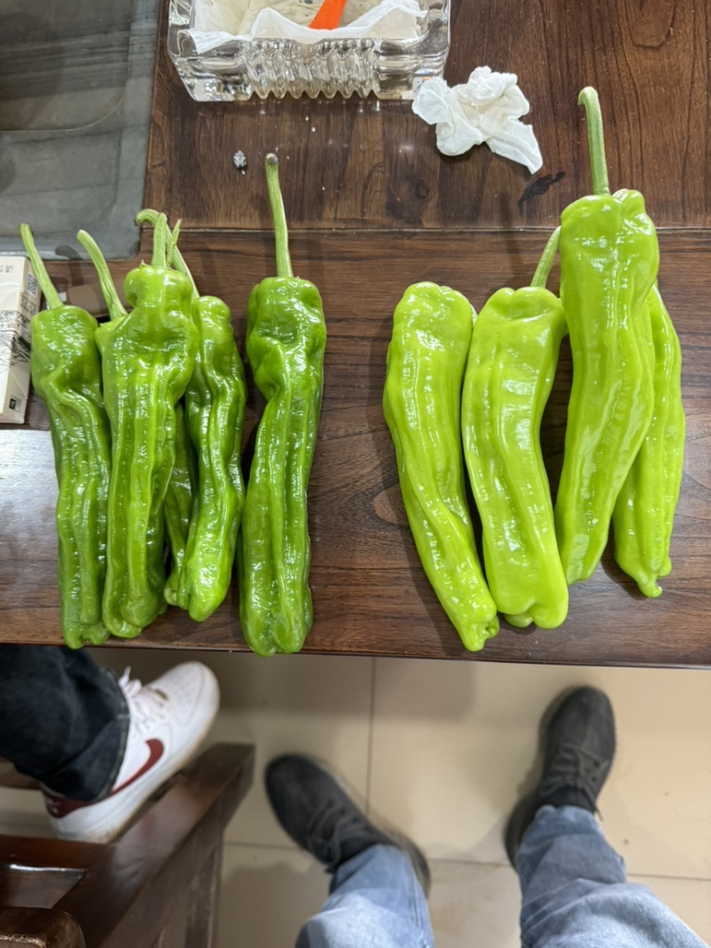芜湖椒广东辣椒，一手货源，基地直发，价格优惠