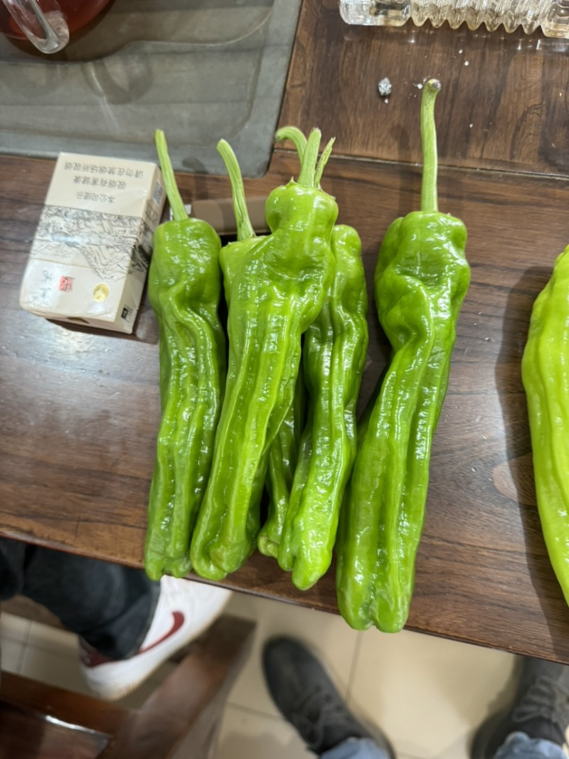 芜湖椒广东辣椒，一手货源，基地直发，价格优惠
