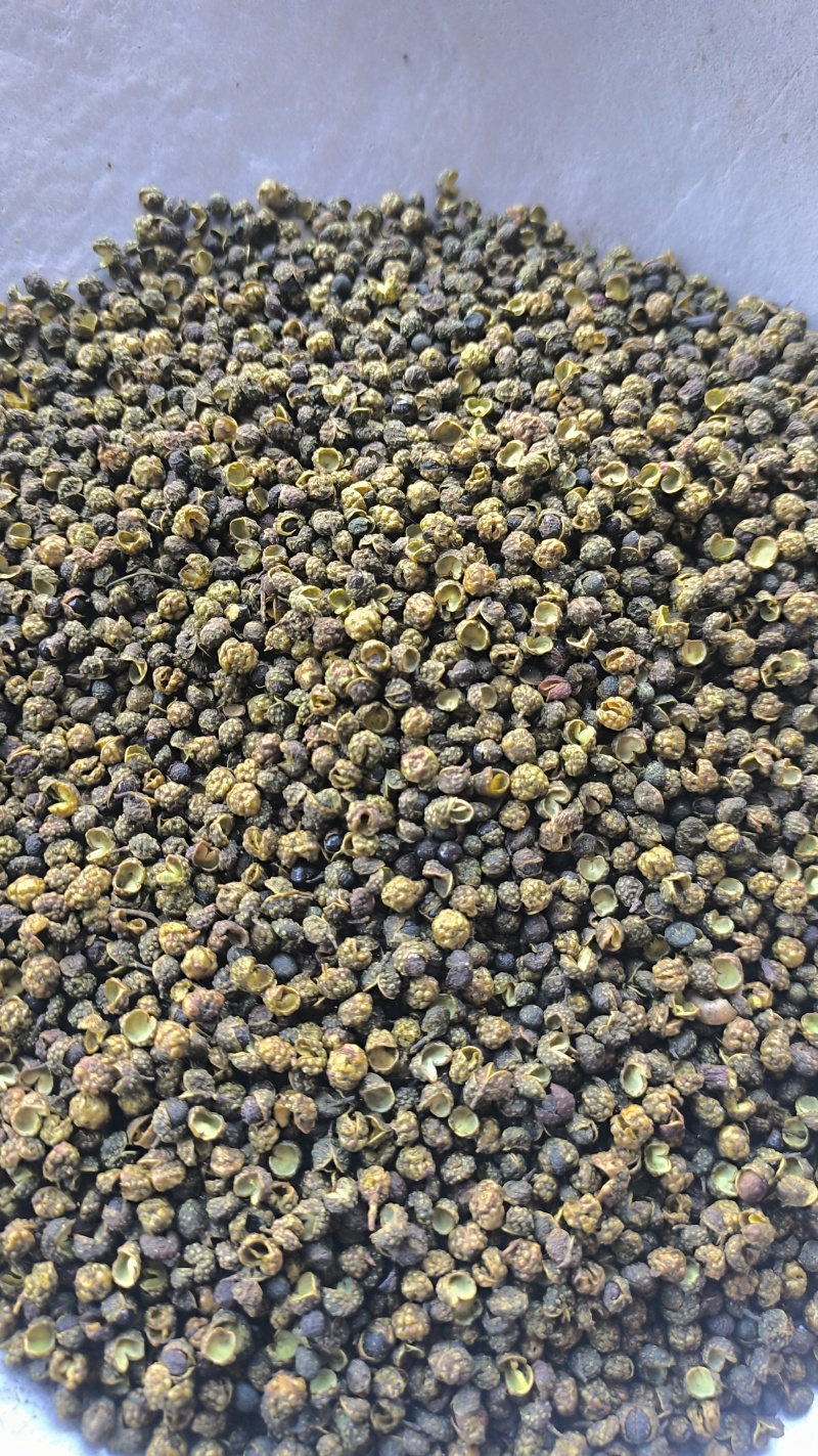 麻椒青麻椒青花椒质量保证量大从优