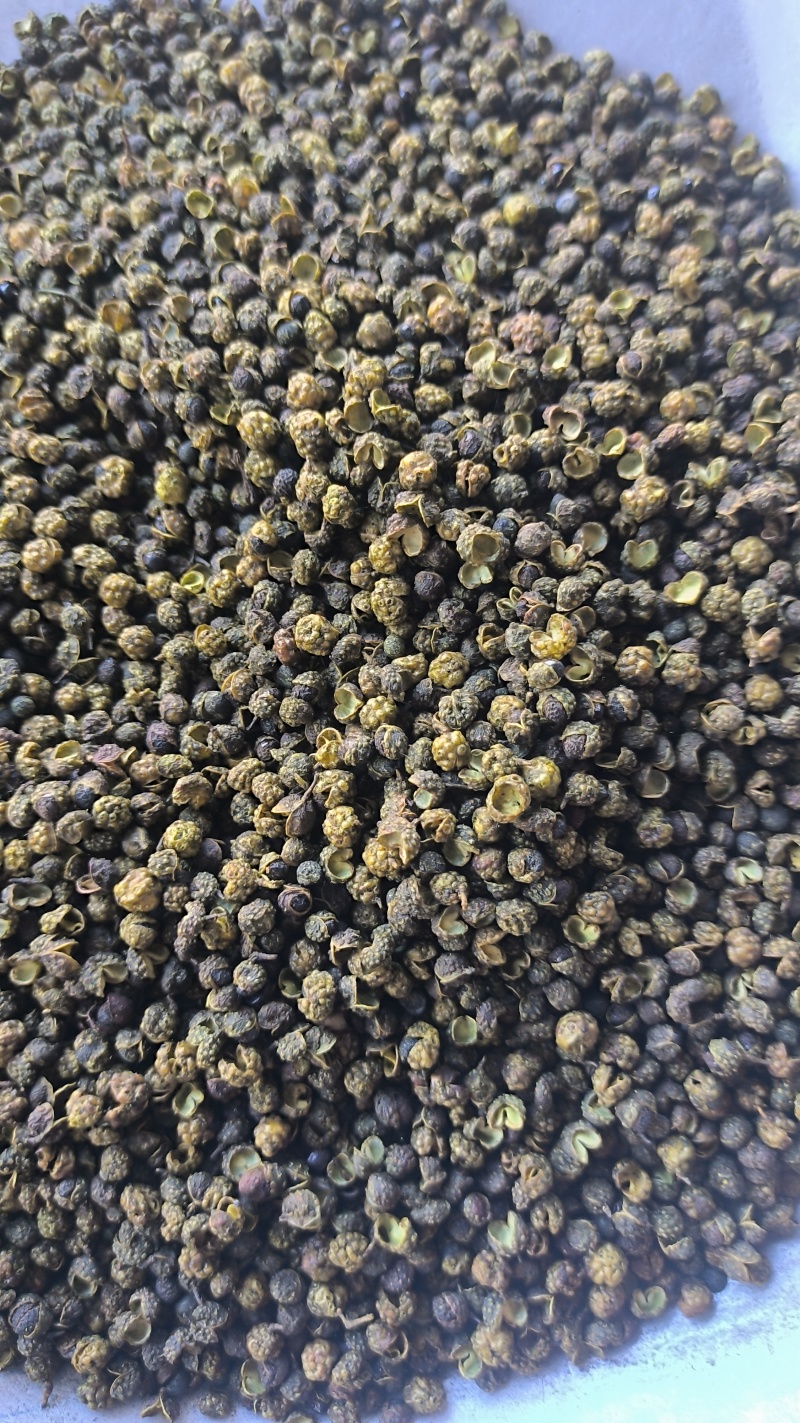 麻椒青麻椒青花椒质量保证量大从优