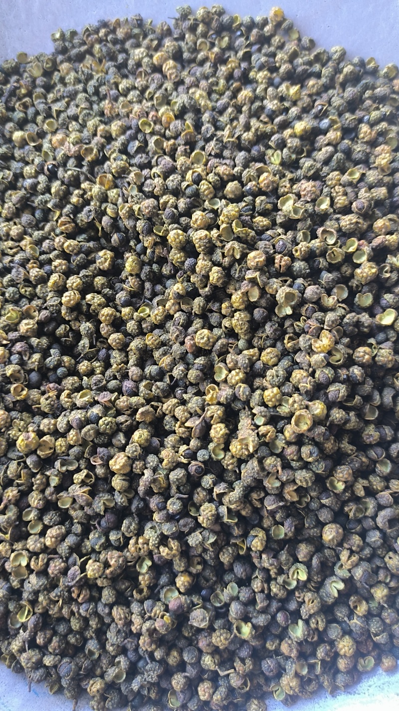 麻椒青麻椒青花椒质量保证量大从优