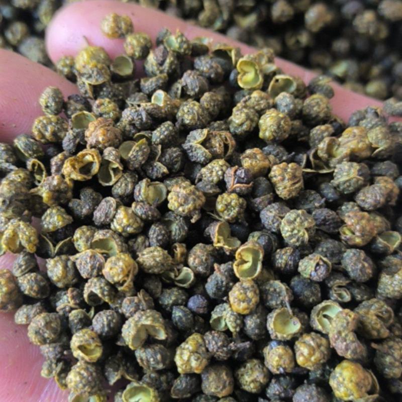 麻椒青麻椒青花椒质量保证量大从优