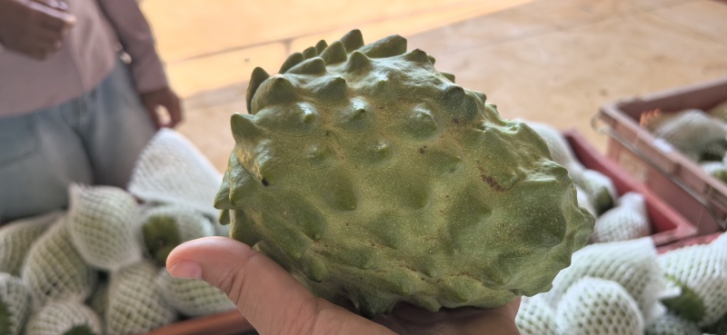 释迦果