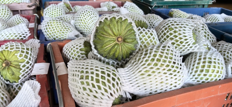 释迦果