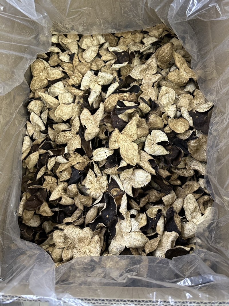 新会老陈皮大地皮口感好最近行情免运费包邮到家