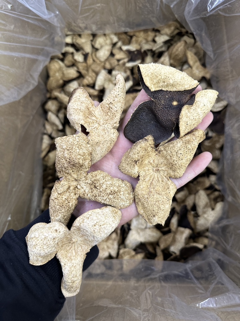 新会老陈皮大地皮口感好最近行情免运费包邮到家