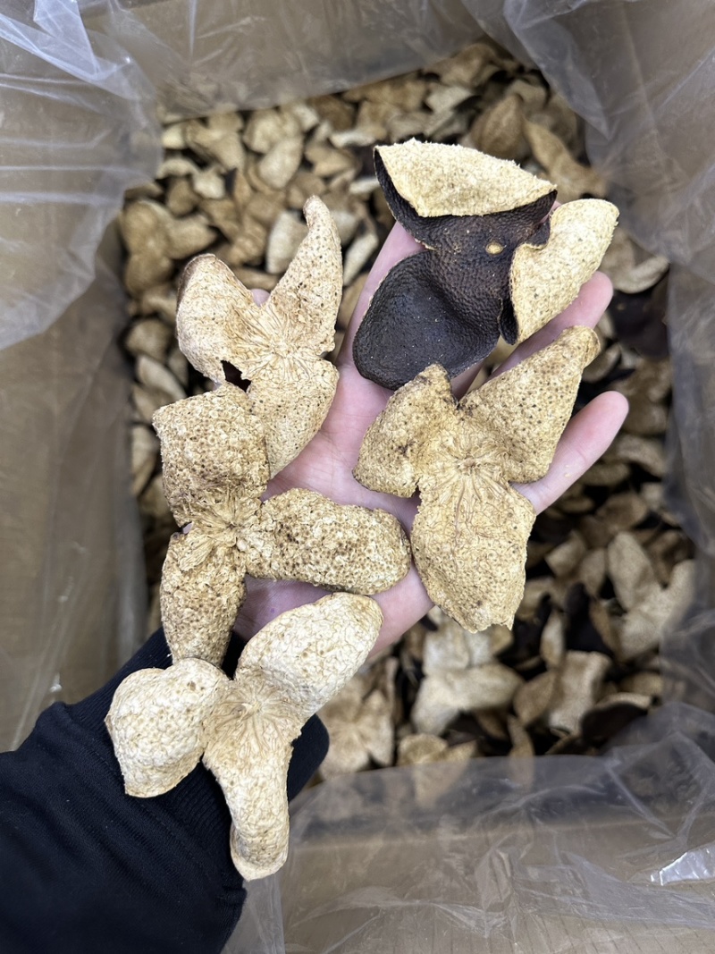 新会老陈皮大地皮口感好最近行情免运费包邮到家