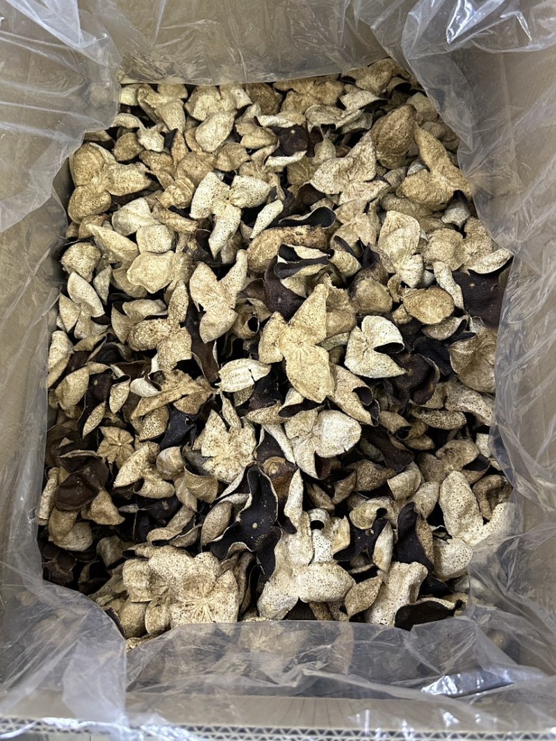 新会老陈皮大地皮口感好最近行情免运费包邮到家