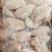 优质翅中厂家直销品质保证量大优惠