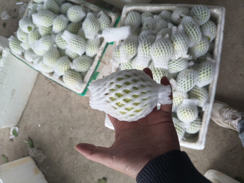 福建漳州产地直发红心芭乐白心芭乐番石榴批发