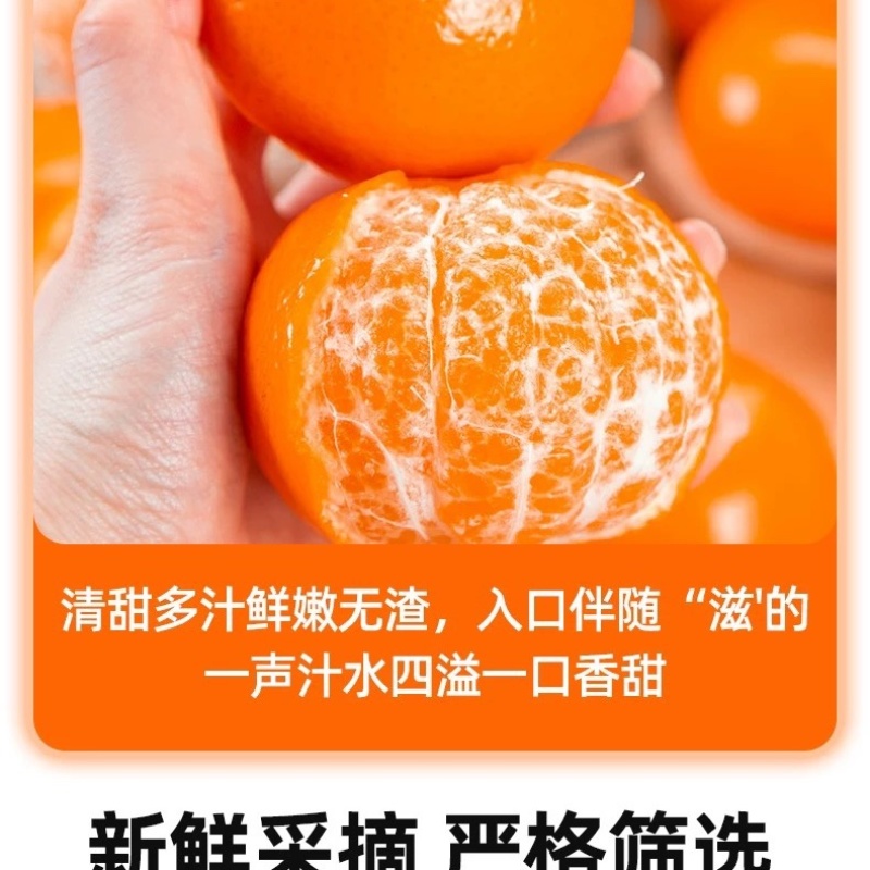 沃柑一件代发整车批发电商出口量大从优产地助农产品当天发货