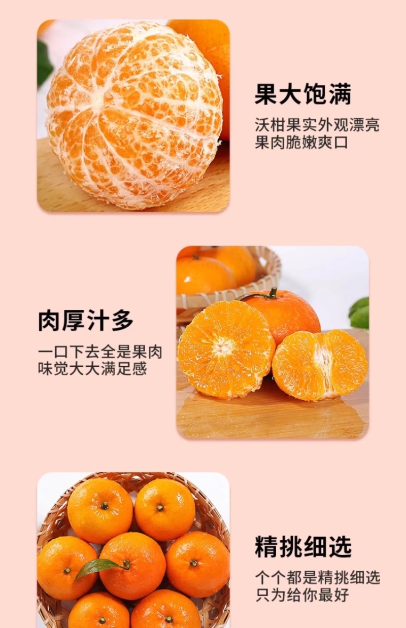 沃柑一件代发整车批发电商出口量大从优产地助农产品当天发货