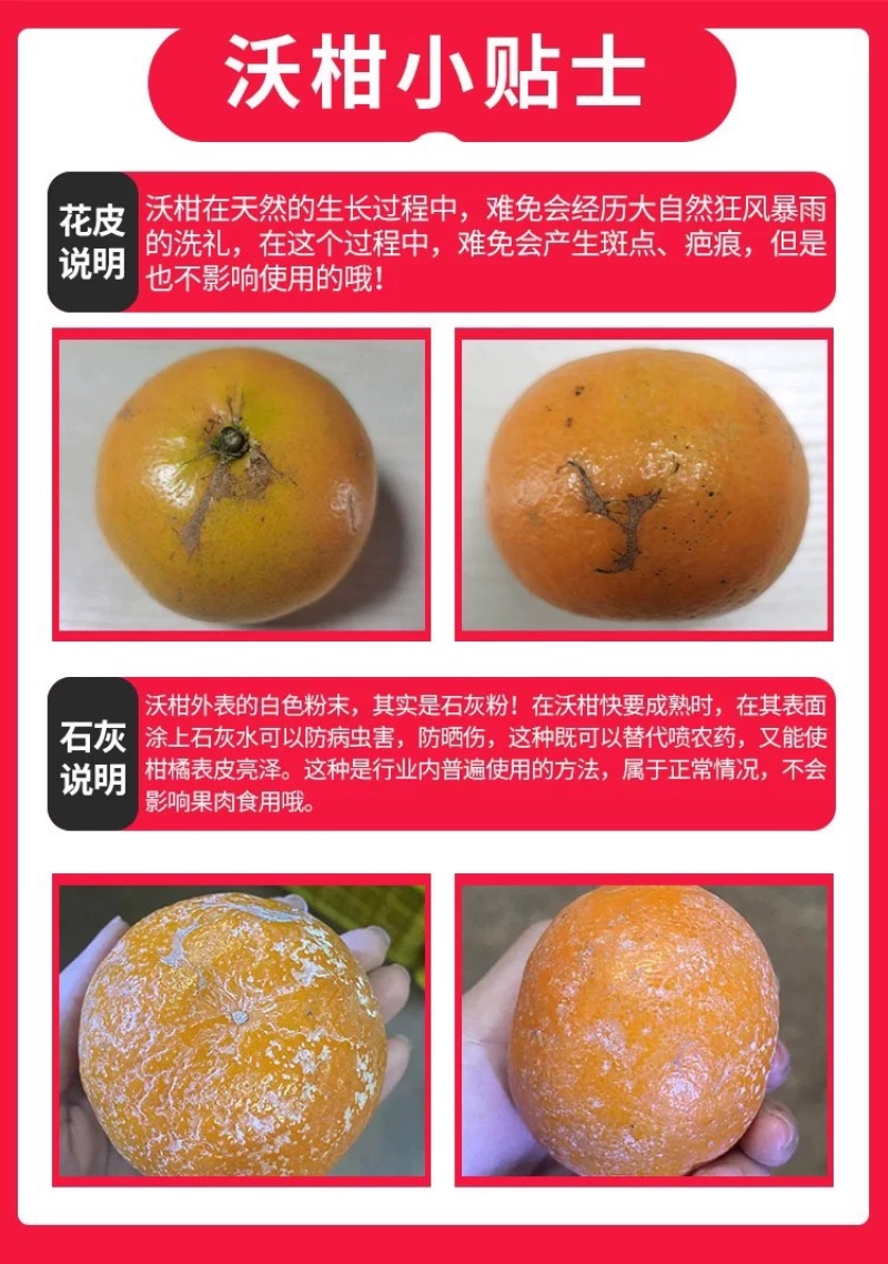 沃柑一件代发整车批发电商出口量大从优产地助农产品当天发货