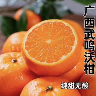 沃柑一件代发整车批发电商出口量大从优产地助农产品当天发货