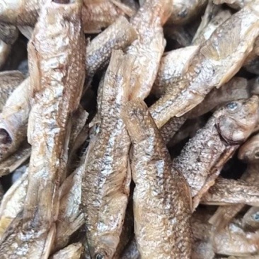 开肚烤小鱼干麦穗鱼干山东微山特产品质好价格低