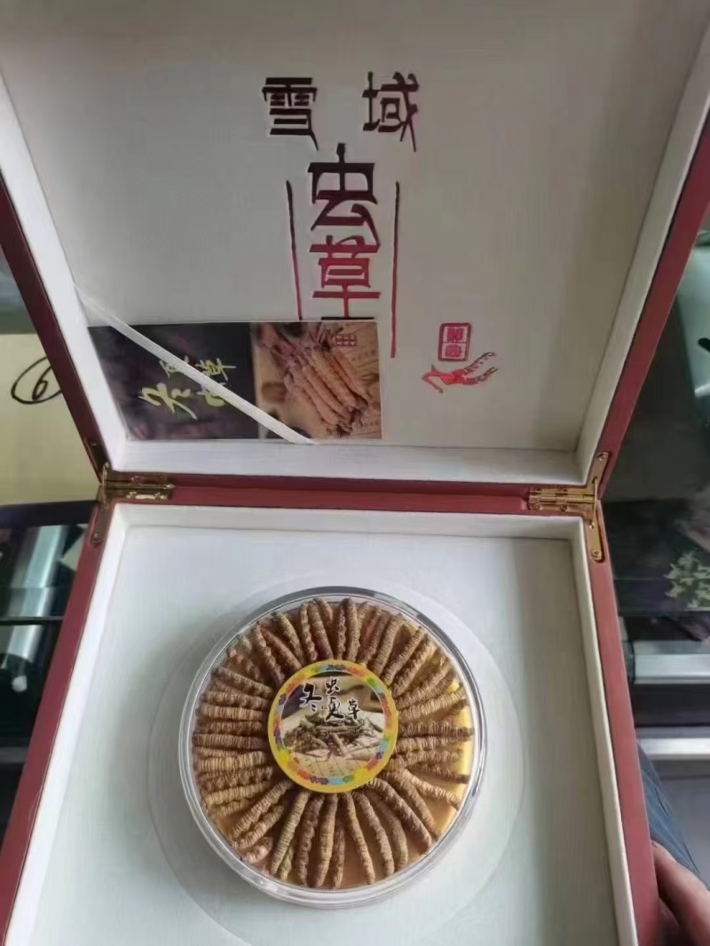 西藏那曲精品优质管装冬虫夏草礼品装礼盒装，新上市送礼佳品