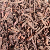 红茜草山东优质选装红茜草血见愁云南茜草产地直销一手货源
