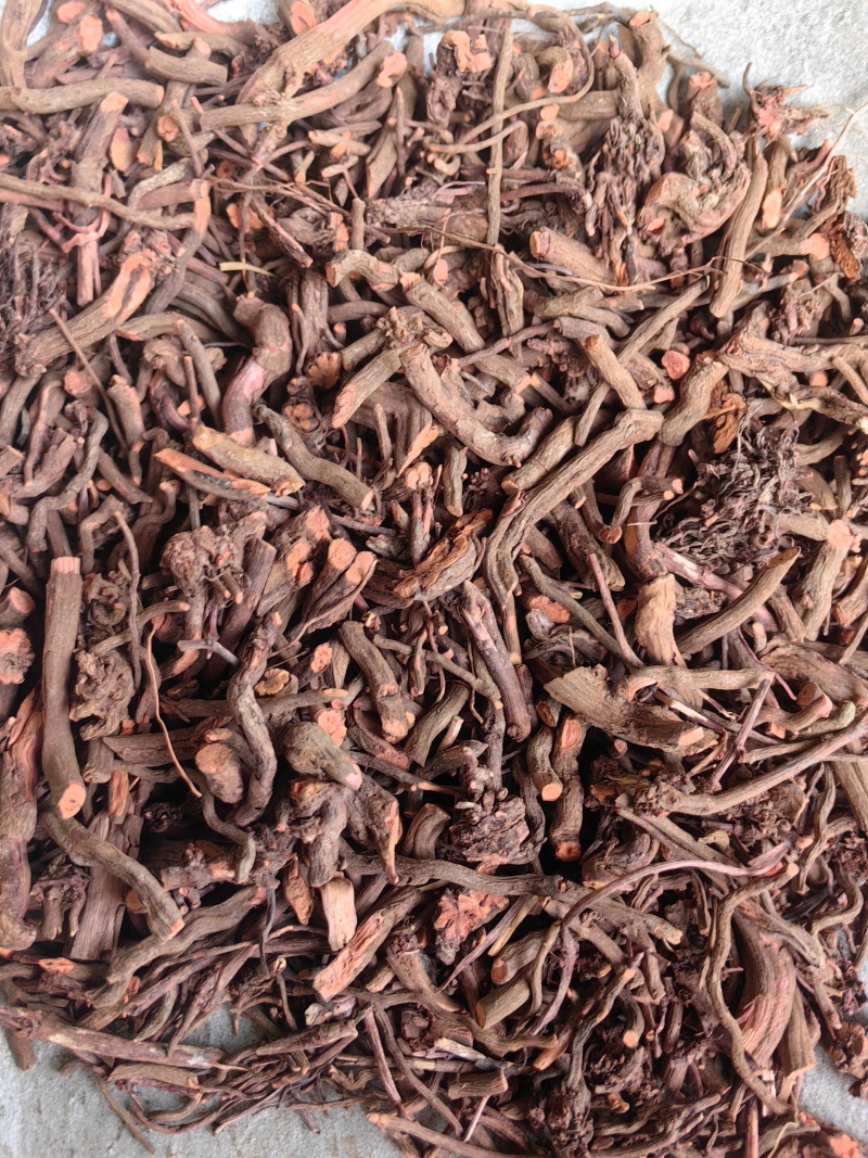 红茜草山东优质选装红茜草血见愁云南茜草产地直销一手货源
