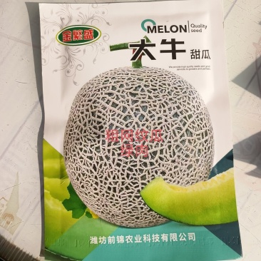粗网纹瓜种子大牛网纹瓜种子耐病性强网纹粗壮口感好