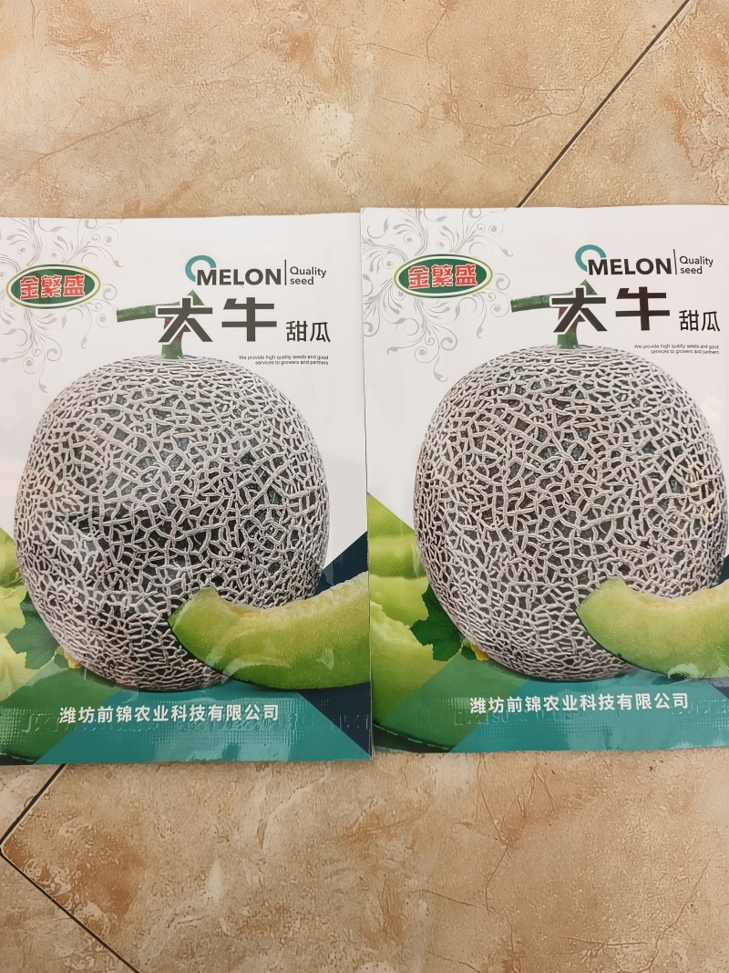 粗网纹瓜种子大牛网纹瓜种子耐病性强网纹粗壮口感好