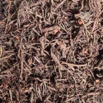 茜草红茜草中药血见愁水洗货云南货山东货产地直销