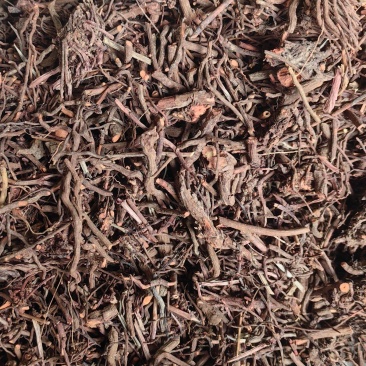茜草红茜草中药血见愁水洗货云南货山东货产地直销