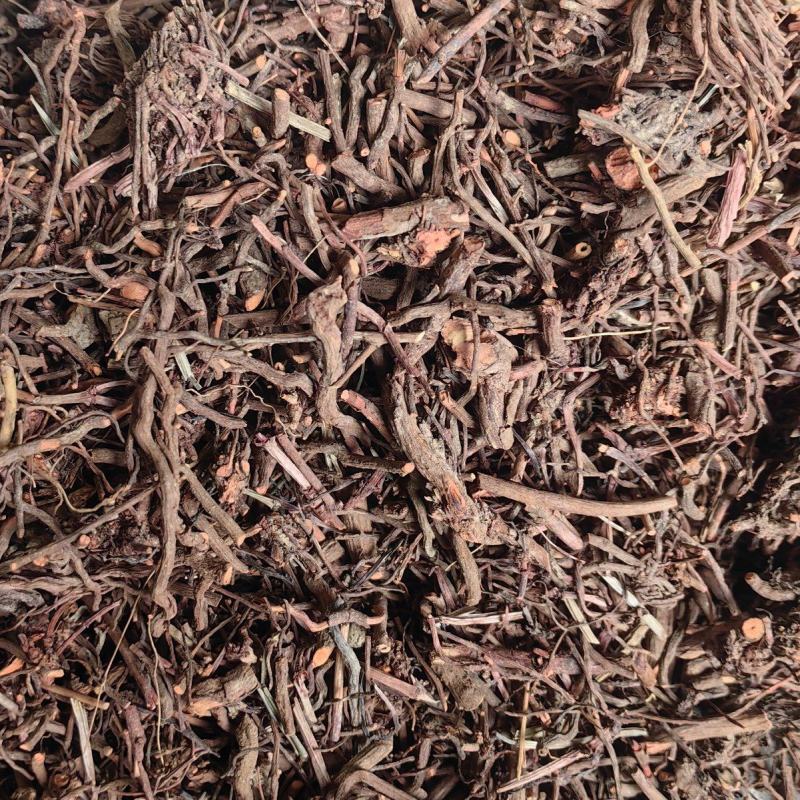 茜草红茜草中药血见愁水洗货云南货山东货产地直销