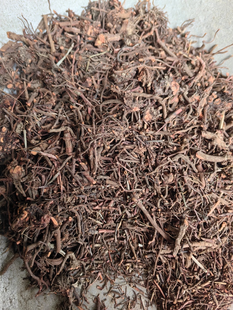 茜草红茜草中药血见愁水洗货云南货山东货产地直销