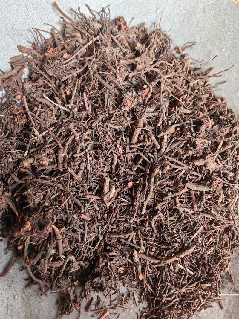 茜草红茜草中药血见愁水洗货云南货山东货产地直销